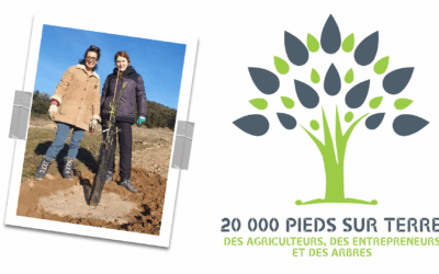 20 000 pieds sur terre 🌳