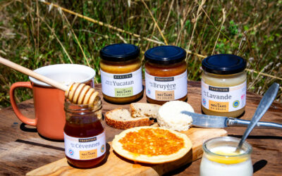 Du miel et du soleil !