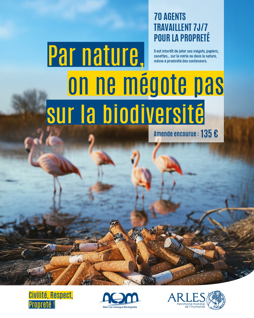 posts RS 1080x1350_Arles propreté3